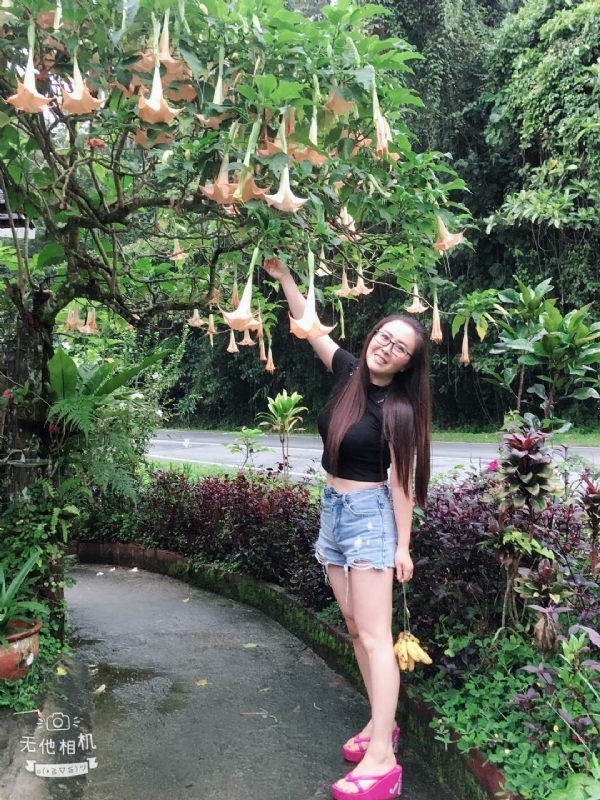 离异单身无子的第二张照片--福鼎交友网
