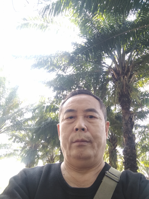 重振雄风的第二张照片--福鼎交友网