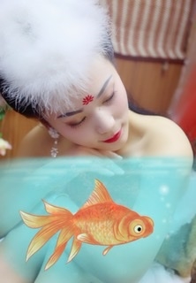 清风恋百合的第二张照片--福鼎交友网