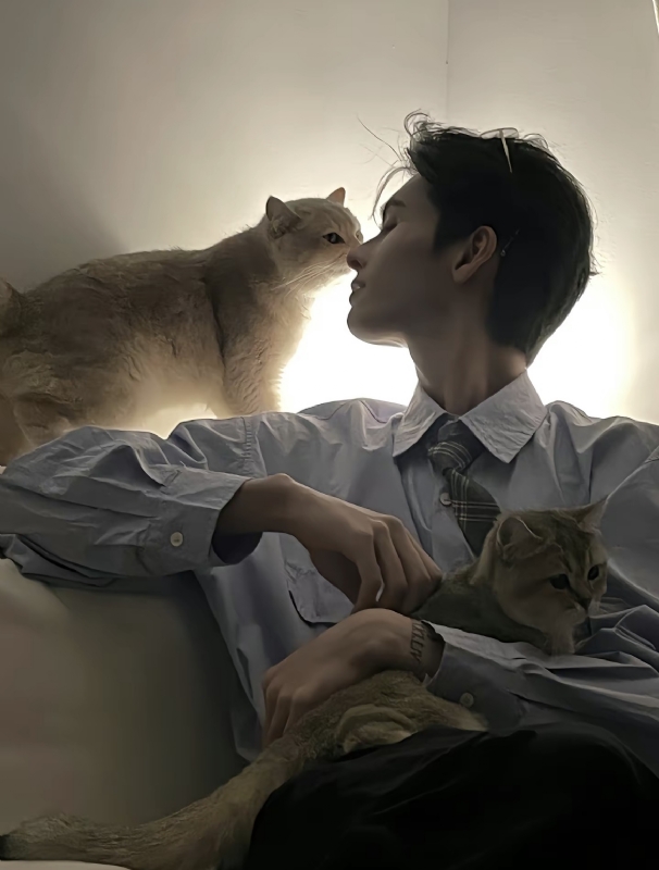 怪猫的第一张照片--福鼎交友网