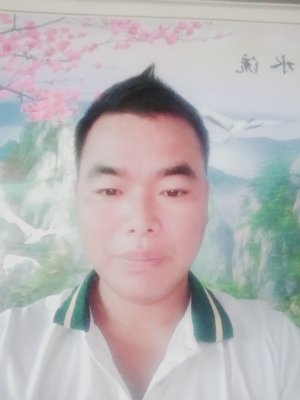 阳光男孩的第二张照片--福鼎交友网